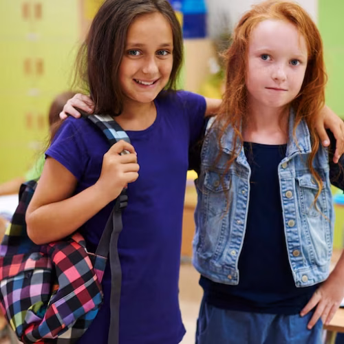 two-best-friends-from-school-desk_329181-10460
